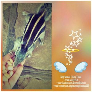 Read more about the article The most integral Relationship